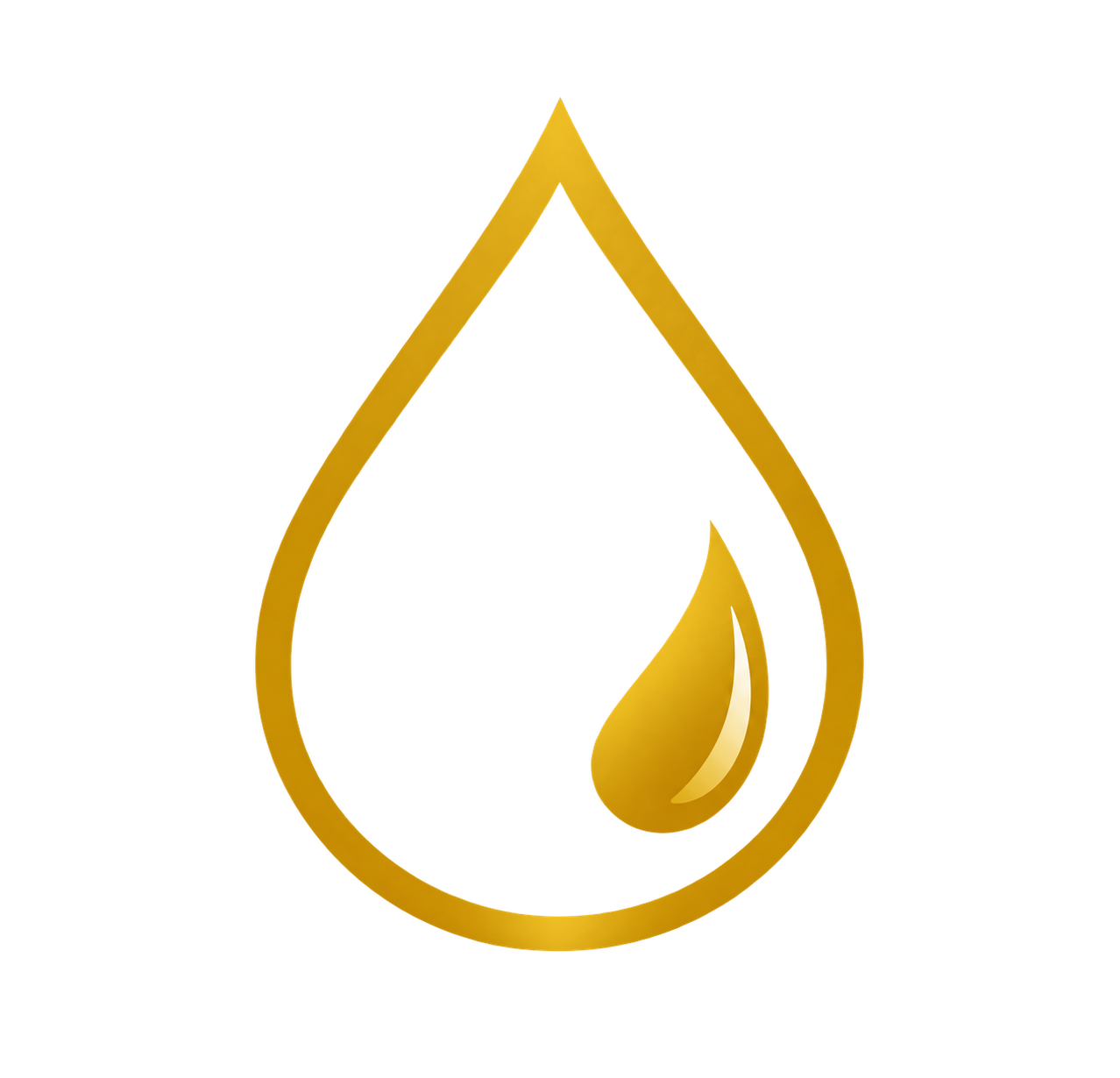 Icon 1